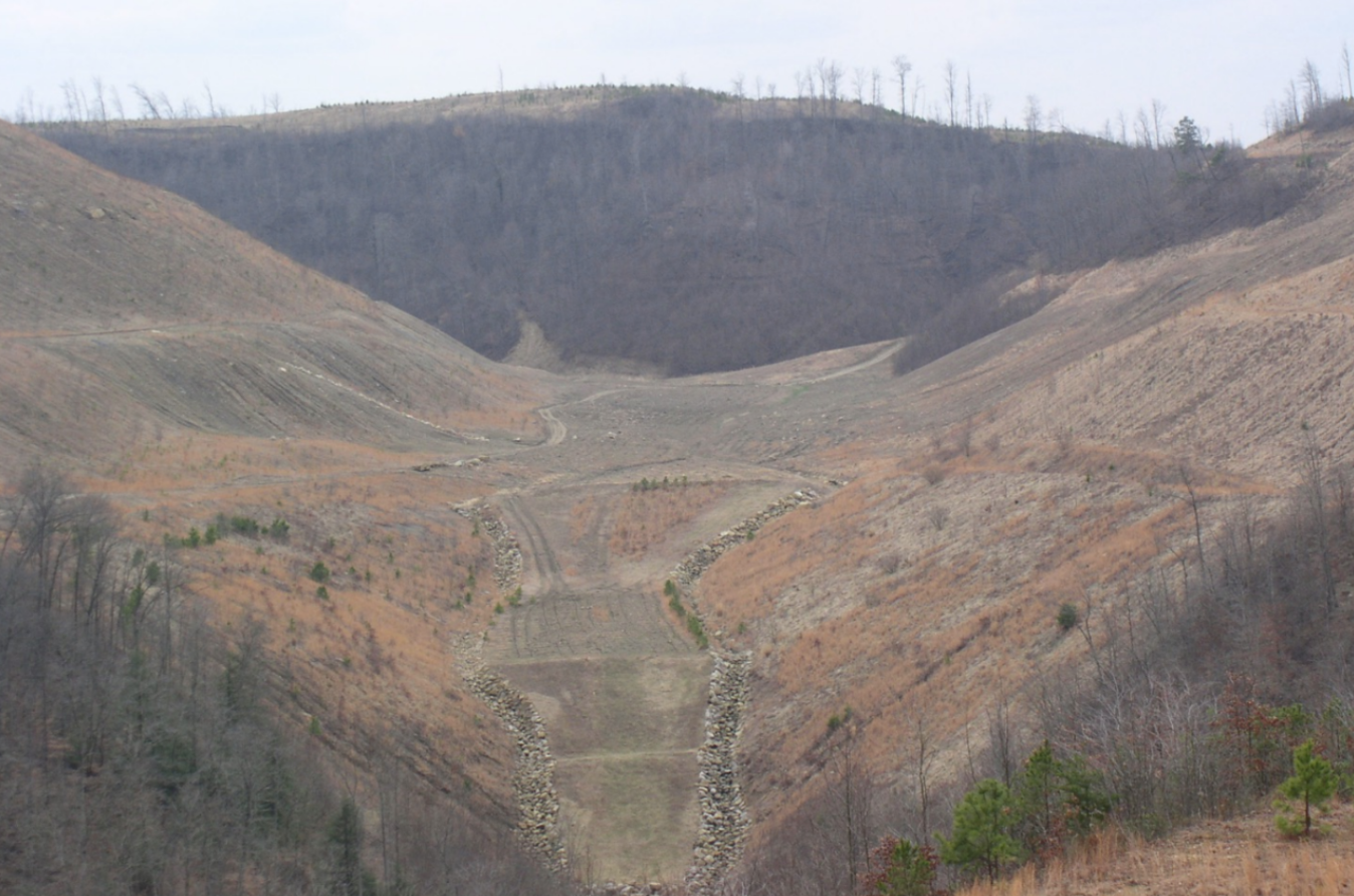 The Appalachian Regional Reforestation Initiative (ARRI) Webinar Series -  Appalachian Citizens' Law Center